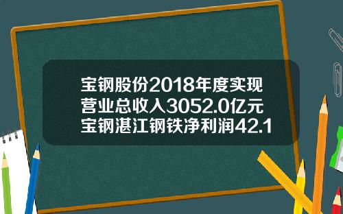 宝钢股份2018年度实现营业总收入3052.0亿元宝钢湛江钢铁净利润42.1亿元-宝钢税收多少