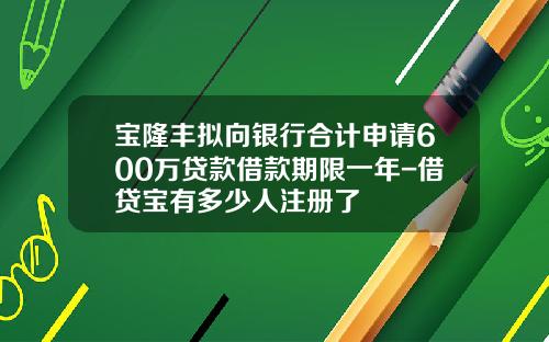 宝隆丰拟向银行合计申请600万贷款借款期限一年-借贷宝有多少人注册了
