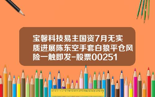 宝馨科技易主国资7月无实质进展陈东空手套白狼平仓风险一触即发-股票002514资讯