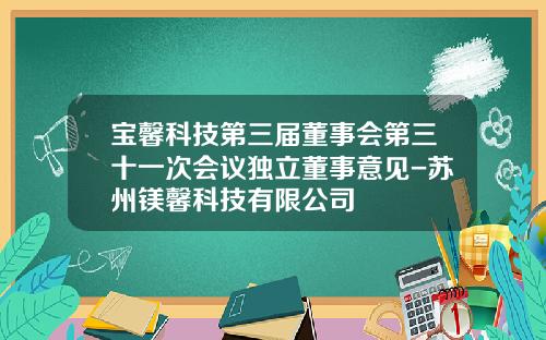宝馨科技第三届董事会第三十一次会议独立董事意见-苏州镁馨科技有限公司