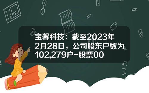 宝馨科技：截至2023年2月28日，公司股东户数为102,279户-股票002514资讯