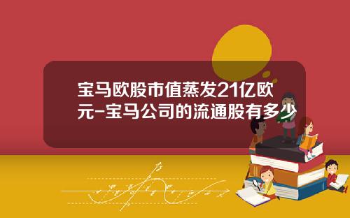 宝马欧股市值蒸发21亿欧元-宝马公司的流通股有多少