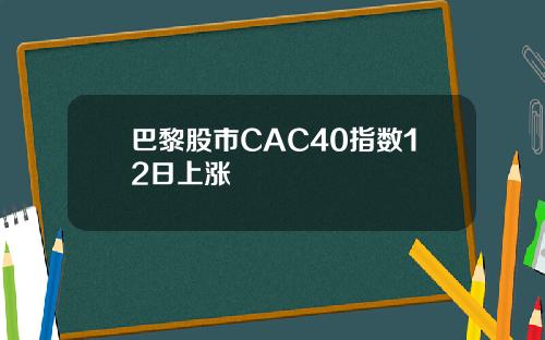 巴黎股市CAC40指数12日上涨