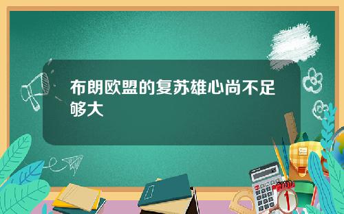 布朗欧盟的复苏雄心尚不足够大