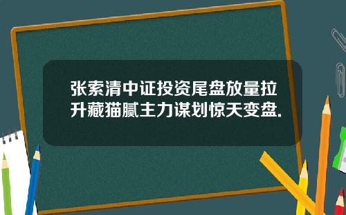 张索清中证投资尾盘放量拉升藏猫腻主力谋划惊天变盘.