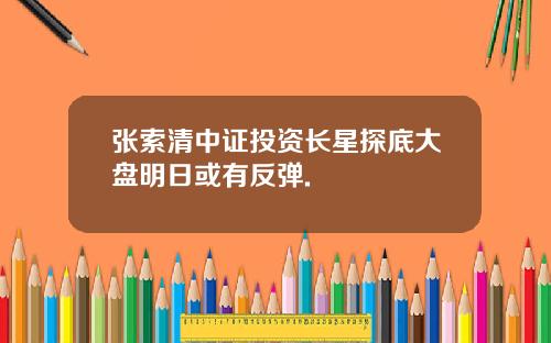 张索清中证投资长星探底大盘明日或有反弹.
