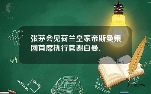 张茅会见荷兰皇家帝斯曼集团首席执行官谢白曼.