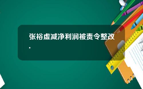 张裕虚减净利润被责令整改.