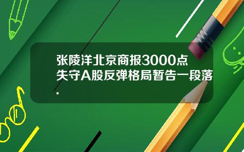 张陵洋北京商报3000点失守A股反弹格局暂告一段落.