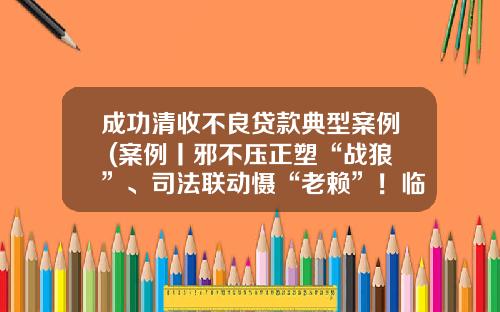 成功清收不良贷款典型案例 (案例丨邪不压正塑“战狼”、司法联动慑“老赖”！临县农信联社清非队员刘锡峰的典型案例)