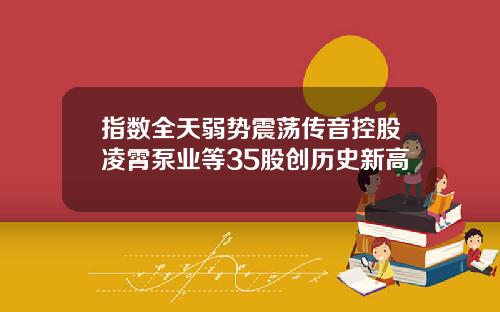 指数全天弱势震荡传音控股凌霄泵业等35股创历史新高