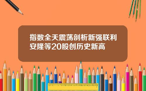 指数全天震荡剖析新强联利安隆等20股创历史新高