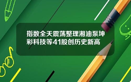 指数全天震荡整理湘油泵坤彩科技等41股创历史新高