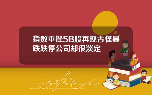 指数重挫5B股再现古怪暴跌跌停公司却很淡定