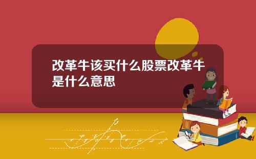 改革牛该买什么股票改革牛是什么意思