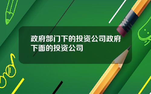 政府部门下的投资公司政府下面的投资公司