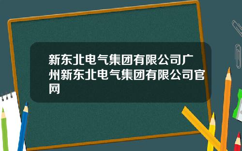 新东北电气集团有限公司广州新东北电气集团有限公司官网