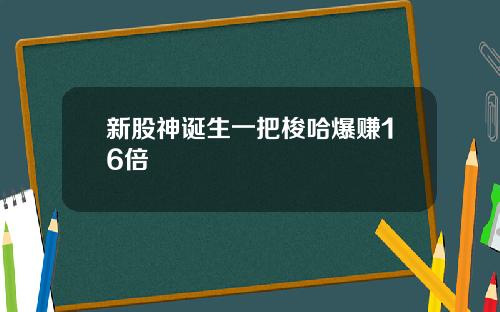 新股神诞生一把梭哈爆赚16倍