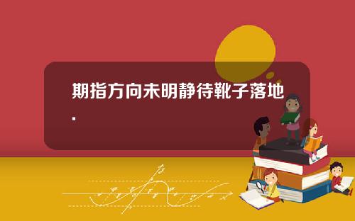 期指方向未明静待靴子落地.