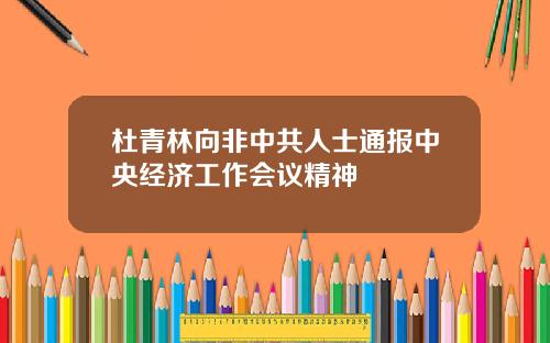 杜青林向非中共人士通报中央经济工作会议精神