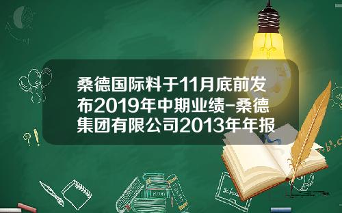 桑德国际料于11月底前发布2019年中期业绩-桑德集团有限公司2013年年报