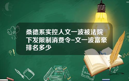 桑德系实控人文一波被法院下发限制消费令-文一波富豪排名多少