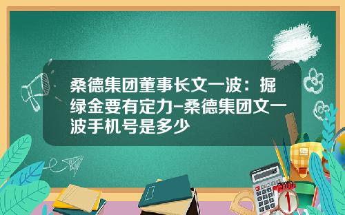 桑德集团董事长文一波：掘绿金要有定力-桑德集团文一波手机号是多少