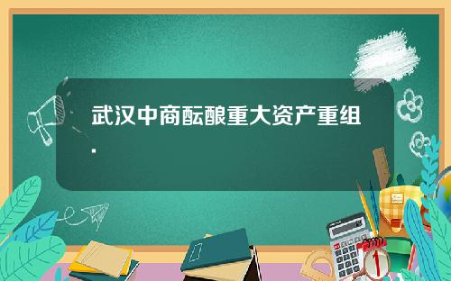 武汉中商酝酿重大资产重组.
