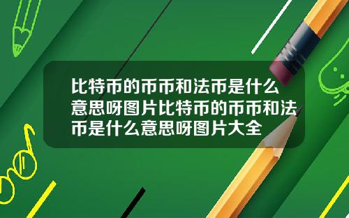 比特币的币币和法币是什么意思呀图片比特币的币币和法币是什么意思呀图片大全