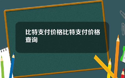 比特支付价格比特支付价格查询