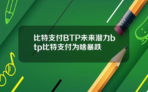 比特支付BTP未来潜力btp比特支付为啥暴跌