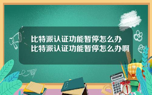 比特派认证功能暂停怎么办比特派认证功能暂停怎么办啊