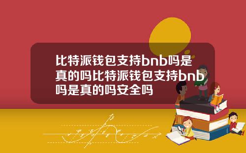比特派钱包支持bnb吗是真的吗比特派钱包支持bnb吗是真的吗安全吗