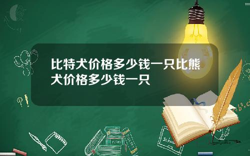 比特犬价格多少钱一只比熊犬价格多少钱一只