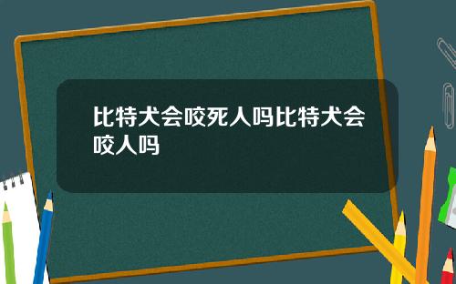 比特犬会咬死人吗比特犬会咬人吗