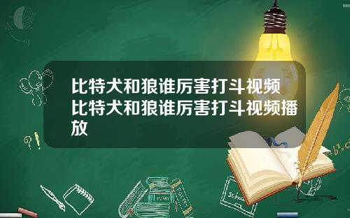 比特犬和狼谁厉害打斗视频比特犬和狼谁厉害打斗视频播放