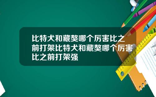 比特犬和藏獒哪个厉害比之前打架比特犬和藏獒哪个厉害比之前打架强