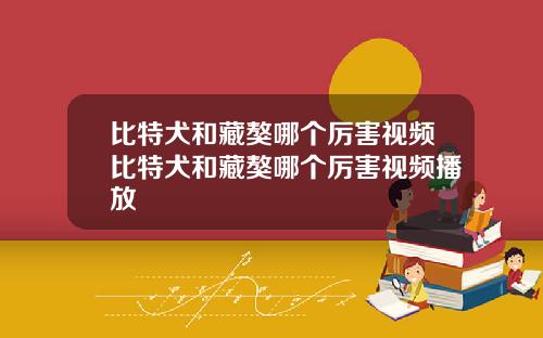 比特犬和藏獒哪个厉害视频比特犬和藏獒哪个厉害视频播放