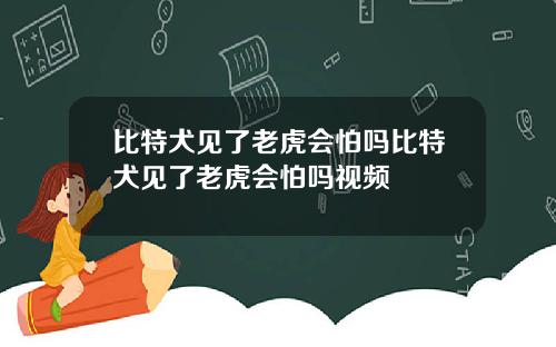 比特犬见了老虎会怕吗比特犬见了老虎会怕吗视频
