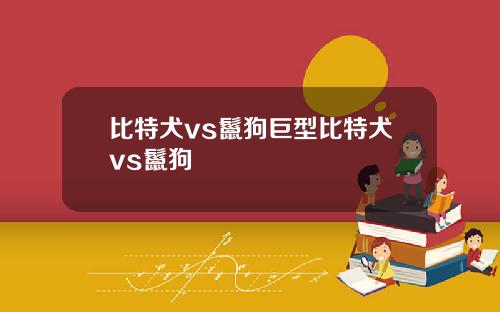 比特犬vs鬣狗巨型比特犬vs鬣狗