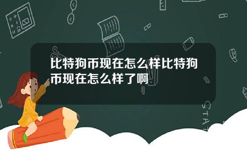 比特狗币现在怎么样比特狗币现在怎么样了啊