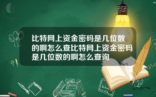 比特网上资金密码是几位数的啊怎么查比特网上资金密码是几位数的啊怎么查询