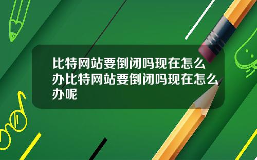 比特网站要倒闭吗现在怎么办比特网站要倒闭吗现在怎么办呢