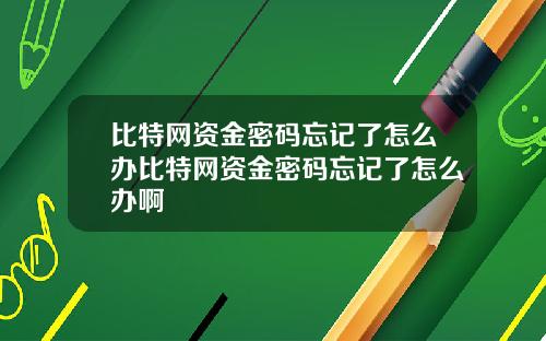 比特网资金密码忘记了怎么办比特网资金密码忘记了怎么办啊