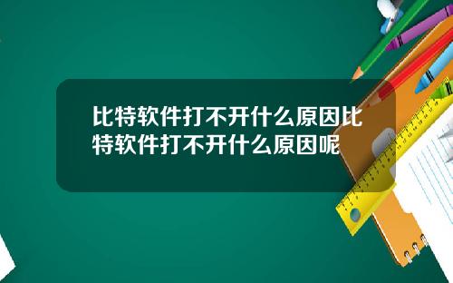 比特软件打不开什么原因比特软件打不开什么原因呢