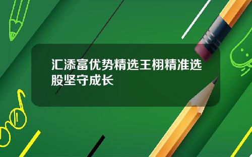 汇添富优势精选王栩精准选股坚守成长