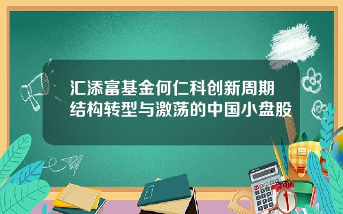 汇添富基金何仁科创新周期结构转型与激荡的中国小盘股