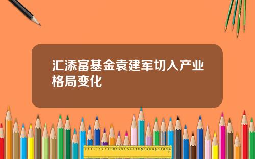 汇添富基金袁建军切入产业格局变化