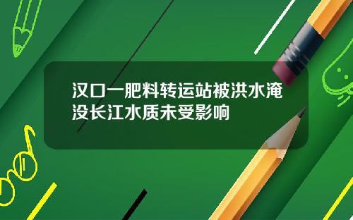 汉口一肥料转运站被洪水淹没长江水质未受影响