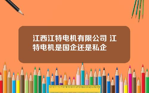 江西江特电机有限公司 江特电机是国企还是私企